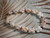 Niihau Momi and Kahelelani shell bracelet on fabric background Kipona style off white Momi shells with light blue undertone yellow and brown spotted with red black green and pink accents
