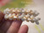 authentic niihau shell pikake earrings handcrafted with momi shells tropical hawaiian shell jewelry