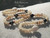 ninl_2010
Full view Hawaiian shell lei in Kipona style with Momi and Kahelelani shells in off white, yellow Lenalena, blue Uliuli, brown spotted and pink flower tones, featuring multiple dark peacock Tahitian pearls, handmade Hawaiian shell jewelry long necklace, Hawaiian shell necklace gift under $1500