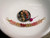 pd_609
Authentic Hawaiian shell necklace from Niʻihau displayed in a white ceramic dish featuring a soft ombré arrangement of genuine Kahelelani shells in a minimalist curved floating shell necklace design.