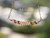 Minimalist curved floating shell necklace shown hanging naturally to highlight the soft curved design, detailed shell pattern, handcrafted workmanship, and how the necklace gently floats along the neckline. Genuine Kahelelani shells from Niʻihau in green, burgundy, and pink ombré tones with gold filled chain.