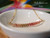pd_613
Close-up view of the minimalist curved floating shell necklace displayed in a white ceramic bowl showcasing the overall pendant design, flowing ombré color arrangement, and delicate handcrafted pattern of genuine Kahelelani shells from Niʻihau in Keʻokeʻo, green, pink flower, and soft pink tones.