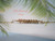 bl_708
Minimalist Hawaiian shell bracelet featuring genuine Kahelelani shells from Niʻihau arranged in an ombré floating design with ʻōmaʻomaʻo green and keʻokeʻo shells. Delicate handcrafted island jewelry accented with 14k gold filled chain and tropical inspired presentation.