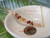 PD_723
Rare Hawaiian shell necklace displayed on tropical palm background featuring size 15 Kahelelani shells from Niʻihau in creamy off white, kamoa yellow, green, and rich burgundy colors with elegant floating shell design and delicate gold filled chain.
