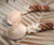 Close-up of the traditional creamy granulated cowrie shell clasp on a handcrafted Kipona Style Hawaiian shell necklace made with genuine Niʻihau Momi shells and colorful Kauaʻi Kahelelani shells.
