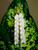 Front view of genuine Niʻihau Momi shell Pikake earrings hanging on a green tropical leaf, handcrafted with off white Momi shells and finished with 14k gold-filled ear wires.
