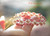 Handcrafted Hawaiian Puka shell necklace displayed in hand, featuring genuine white Puka shells and pink flower with light green Kahelelani shells from Niʻihau on a fancy Italian 14k gold filled chain.
