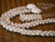 Full view of Niʻihau Momi shell Pikake lei and matching earrings #2023 before clasp and earring hooks are added