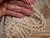 Close-up size view of natural off-white Niʻihau Momi shells showing their soft creamy tones, individual shapes and markings in a handcrafted Hawaiian shell necklace.