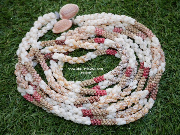 ninl_22122
Full display of long Niʻihau shell lei handcrafted in traditional triple-strand Kipona style with Momi and Kahelelani shells featuring rare Hawaiian shell colors and collectible Pupu O Niʻihau artistry.