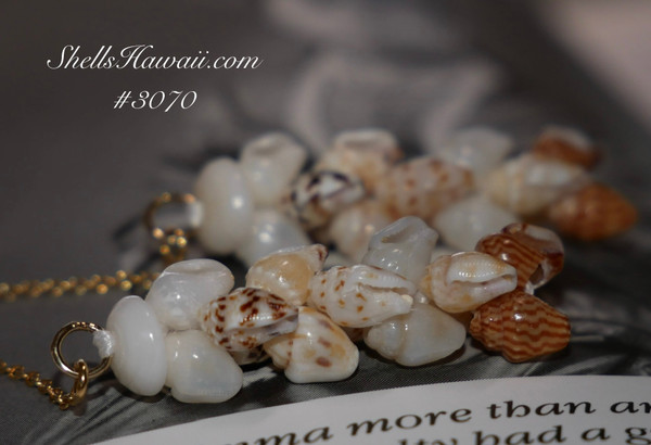Momi minimalist shell earrings. Niihau shell earrings #3070