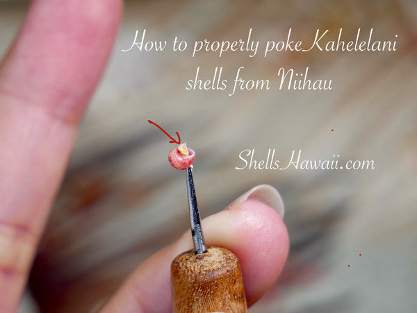 Poking tool for Niʻihau shell jewelry making, medium length Niʻihau poking tool used for Momi shells and Kahelelani shells