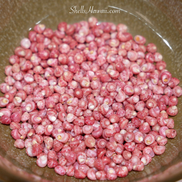 custom order for Diane