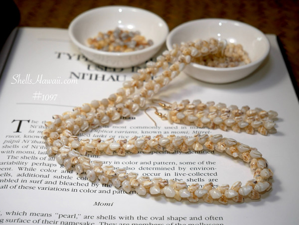 Authentic Niʻihau shell jewelry set featuring a 23" lei made with Momi Lenalena (golden yellow) and Momi ʻŪliʻuli ʻĀhiehie (light blue). Matching 2 ¾" earrings with 14k gold-filled findings complete this rare set.