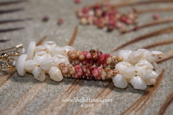 nier_2648
Niʻihau shell earrings in Kipona style made with natural Hawaiian seashells, handmade Niʻihau shell jewelry with casual beach style