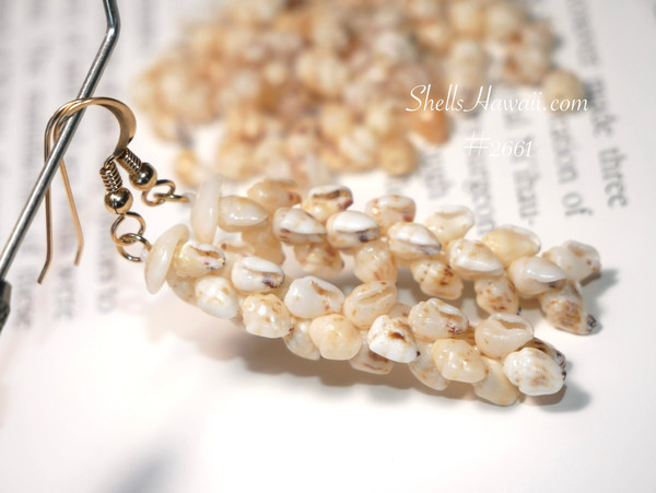 nier_2661
Pikake style Niʻihau shell earrings made with tiny yellow Lenalena Momi shells, delicate Hawaiian shell jewelry