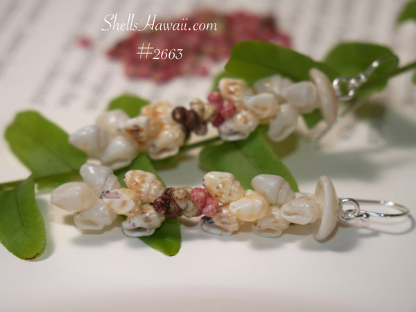 nier_2663
Kipona style Niʻihau shell earrings made with momi and kahelelani shells from Hawaiʻi, lightweight everyday Hawaiian shell jewelry