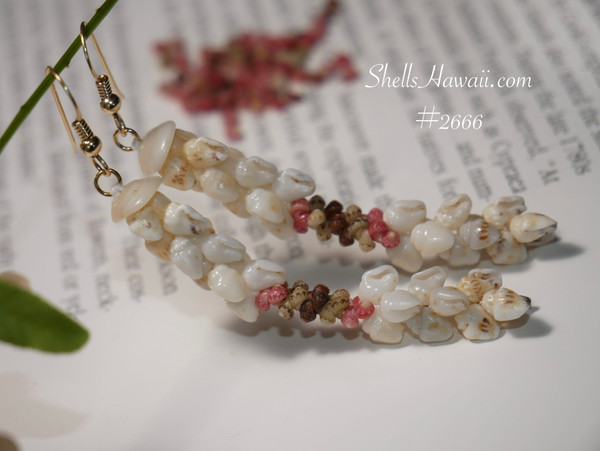 nier_2666
Kipona style Niʻihau shell earrings made with momi and kahelelani shells, lightweight Hawaiian shell earrings for everyday wear