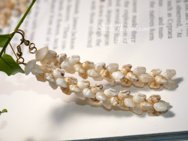 mier_2667
Pikake style Niʻihau shell earrings made with momi shells, light