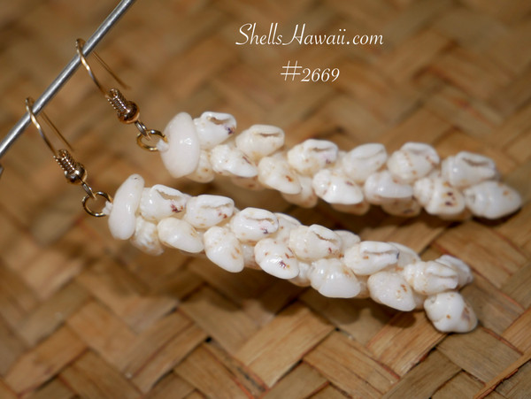 nier_2669
Pikake style Hawaiian shell earrings made with off white Momi shells from Niʻihau showing natural brown speckled flecks