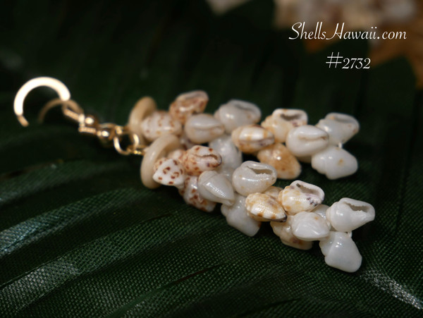 nier_2732
Pikake style Niʻihau shell earrings with mixed color Momi shells Hawaiian shell jewelry