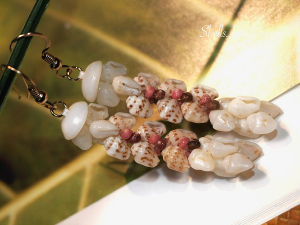 nier_2742
traditional pikake niihau shell earrings with off white momi shells light blue undertone and brown spotted onikiniki ahiehie hawaiian shell jewelry (貝殻ピアス)