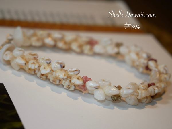 nibl_394
Niʻihau shell bracelet detailed texture of momi shells with natural patterns and kahelelani color accents handmade jewelry