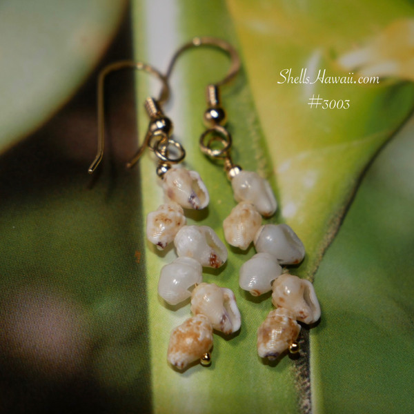 nier_3003
minimalist Niʻihau shell earrings dainty momi shell drop earrings yellow lenalena light blue uliuli Hawaiian island jewelry gift