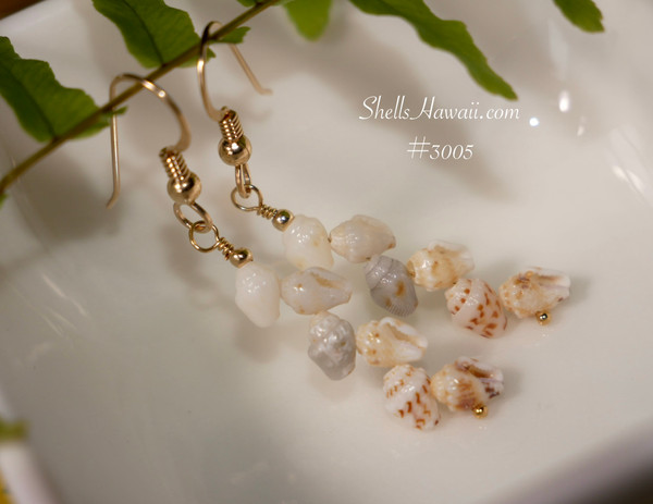 Dainty Niihau shell earrings with mixed momi shells off white cream gray and brown spotted natural shells lightweight design