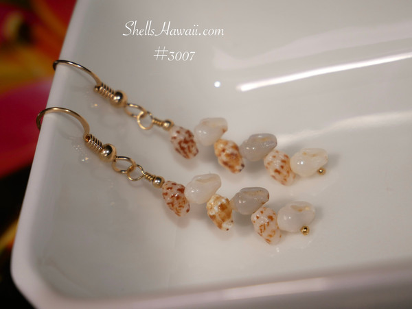 nier_3007
dainty Niʻihau shell earrings momi shell drop earrings Hawaiian island gift jewelry brown spotted blue yellow tones