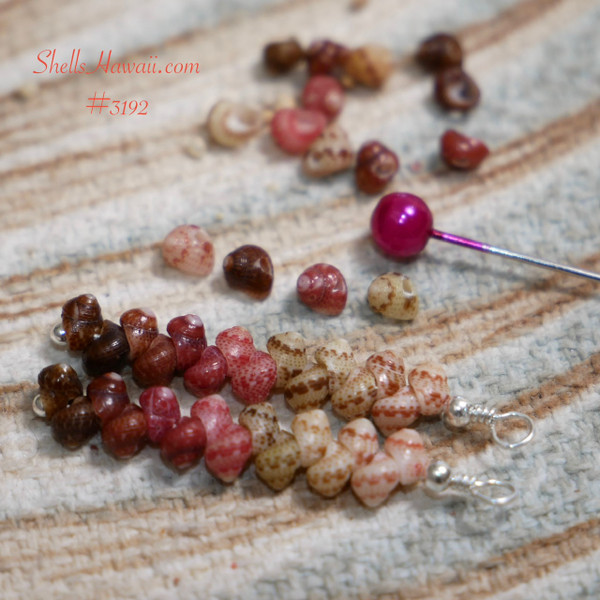 nier_3192
Kahelelani shells from Niʻihau in ombré colors including black, brown, burgundy, pink, green and keʻokeʻo, arranged on soft neutral background with pink pin tool, showing Hawaiian shell jewelry making process