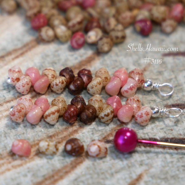 nier_3116
close up Niihau Kahelelani shell earrings brown makue pink green keokeo natural detail minimalist Hawaiian jewelry