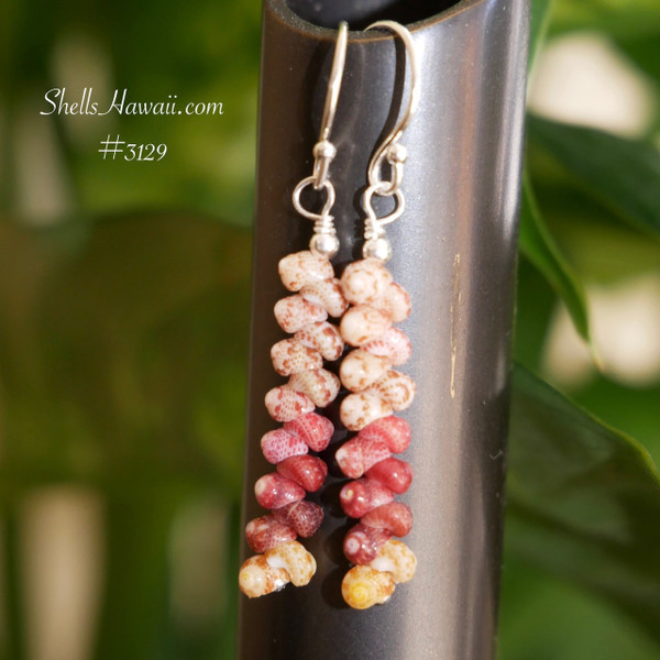 nier_3129
Niihau shell earrings handcrafted with kahelelani and kamoa shells, 軽くて上品なハワイアンジュエリー perfect for everyday wear and gifting