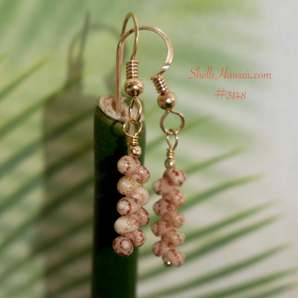 nier_3148
Niihau shell earrings minimalist drop Kahelelani shells light green undertone 14k gold filled hooks Hawaiian shell jewelry gift