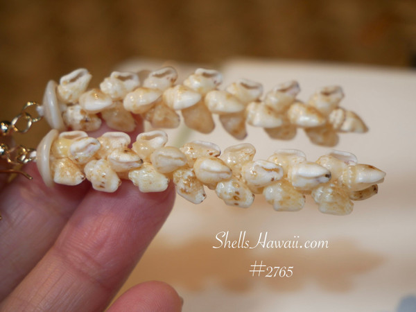 nier_2765
Pikake style shell earrings handmade with shells from Niihau featuring light yellow lenalena momi shells Hawaiian seashell jewelry ShellsHawaii