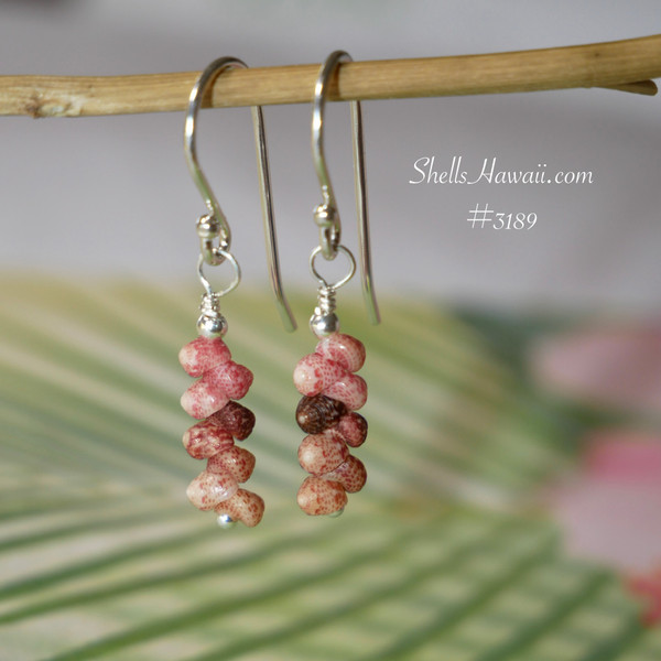 nier_3189
This photo shows the finished Kahelelani shell earrings hanging, highlighting the natural blend of pink, burgundy, and brown tones. The soft color contrast and lightweight design make these Hawaiian shell earrings perfect for everyday wear and a thoughtful gift under $100.