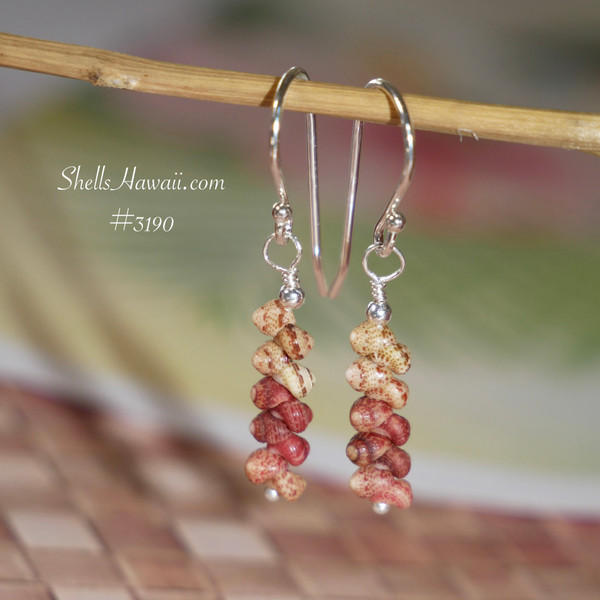 nier_3190
This photo shows the finished earrings hanging, displaying the natural blend of brown, burgundy, and green Kahelelani shells. Lightweight and earthy in tone, these Hawaiian shell earrings are perfect for everyday wear and a thoughtful gift under $100.
