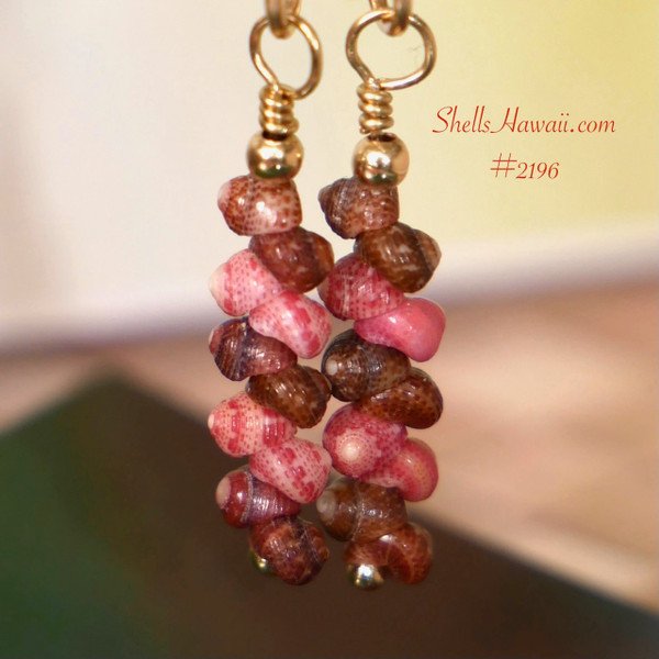 nier_2196
Close up of Niʻihau shell earrings showing colorful Kahelelani shells in brown and pink flower tones, detailed craftsmanship, small dainty Hawaiian jewelry under $150