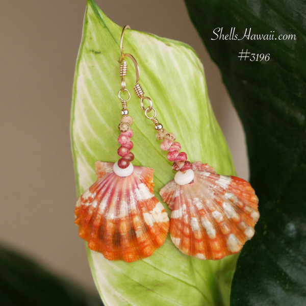 nier_3196
Sunrise shell earrings with Kahelelani shells in minimalist drop style, orange Hawaiian seashell earrings with pink and red Niʻihau shells, gift under $250