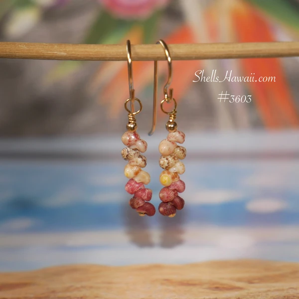 nier_3603
Colorful Hawaiian shell earrings made with Niihau Kahelelani shells in burgundy, pink, yellow kamoa, green and keo'ke'o, using small size 10 shells in a 3/4 inch minimalist drop style with 14k gold filled hooks, Niihau shell gift under $100.