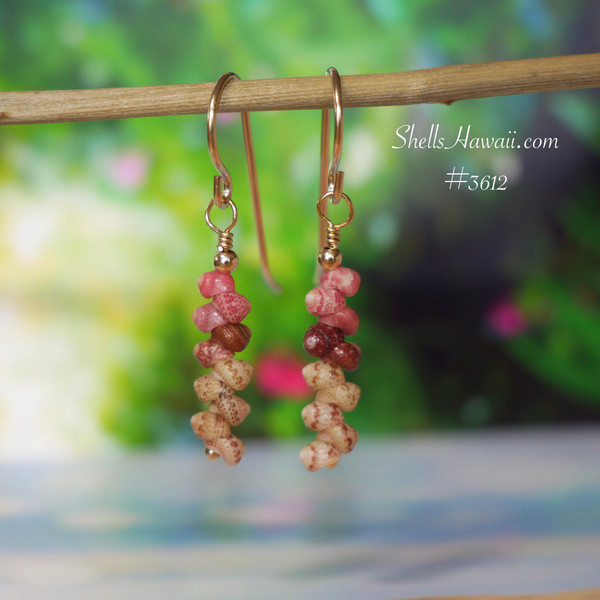 nier_3612
Colorful Hawaiian shell earrings made with Niihau Kahelelani shells in green, burgundy and pink, using small size 10 shells in a 3/4 inch minimalist drop style with 14k gold filled hooks, Niihau shell gift under $100.