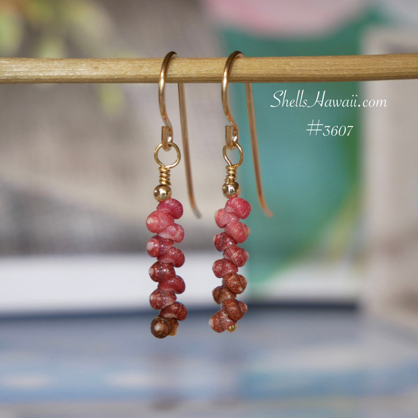 nier_3607
Ombre Kahelelani Niihau shell earrings hanging on display, made with tiny brown, burgundy and pink shells, lightweight 3/4 inch drop earrings in modern minimalist Hawaiian jewelry style. Niihau shell earrings gift under $100