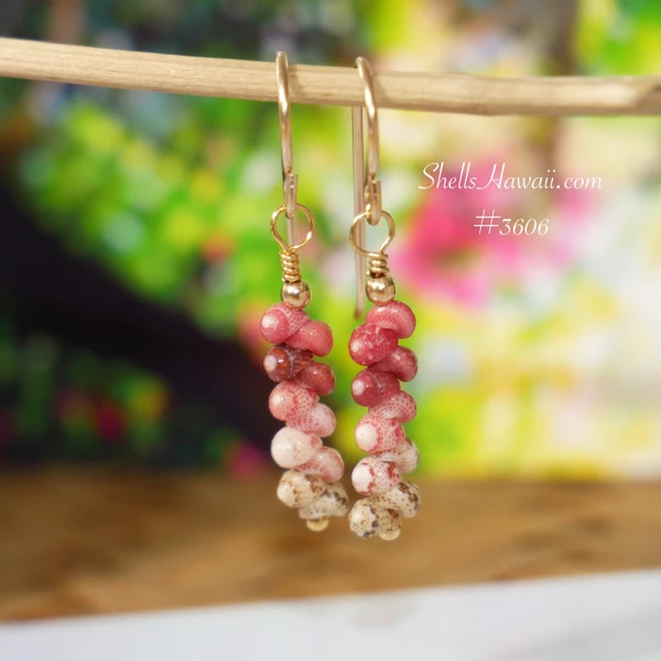 nier_3606
Handmade Hawaiian shell earrings hanging on display, crafted with small Kahelelani shells in green, burgundy and pink tones, modern minimalist island style earrings.
