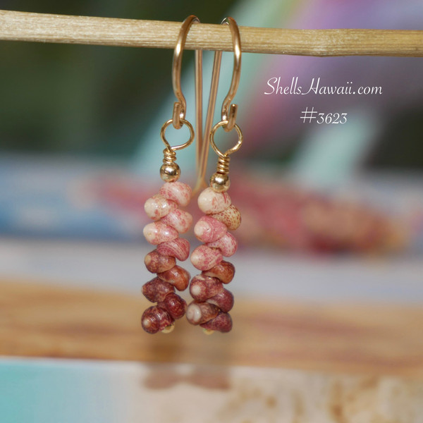 nier_3623
Close-up of Kahelelani shells used for minimalist drop earrings, showing ombre pink, natural, and burgundy tones from Kauai next to a coin for size comparison, Hawaiian shell earrings gift for her under $100