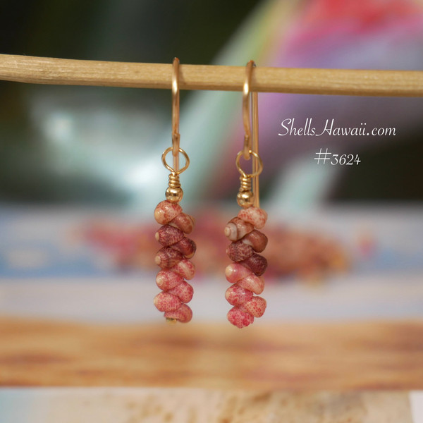 nier_3624
Dainty mini Kahelelani shell earrings hanging on gold filled hooks, ombre pink and burgundy tones in minimalist drop style, Hawaiian shell earrings gift for occasions under $100