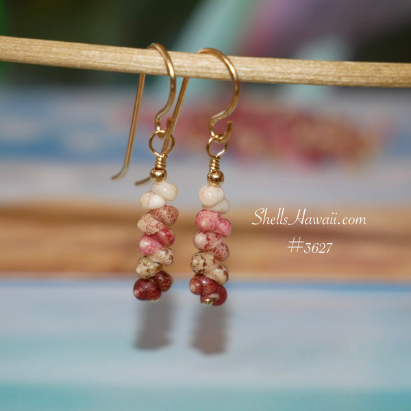 nier_3627
Dainty Hawaiian shell earrings with Kahelelani shells in mixed island colors, minimalist drop style with gold filled hooks, tiny colorful seashell earrings gold filled gift for occasions under $100