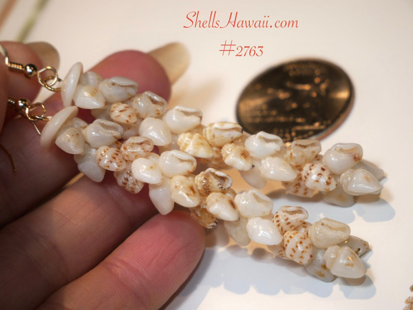 nier_2763
niihau pikake shell earrings, momi shell hawaiian jewelry, authentic hawaiian seashell earrings from shellshawaii