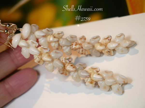 nier_2759
Pikake Niʻihau shell earrings made with genuine Momi shells in mixed natural colors, traditional Hawaiian shell jewelry from ShellsHawaii