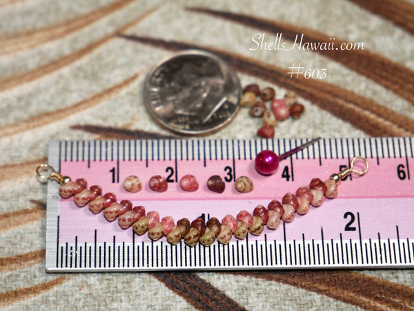 pd_603
Genuine Kahelelani shell necklace from Niʻihau shown beside a ruler and coin for size reference featuring Keʻokeʻo, pink flower, brown, and deep red burgundy shell colors in a refined curved design.