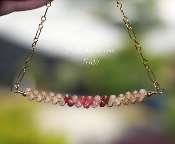 pd_620
Hanging view of a minimalist Kahelelani shell necklace displaying a soft blend of light green, soft pink, red, and burgundy red shells arranged in a curved floating design that showcases the delicate handcrafted Hawaiian shell pattern and workmanship.